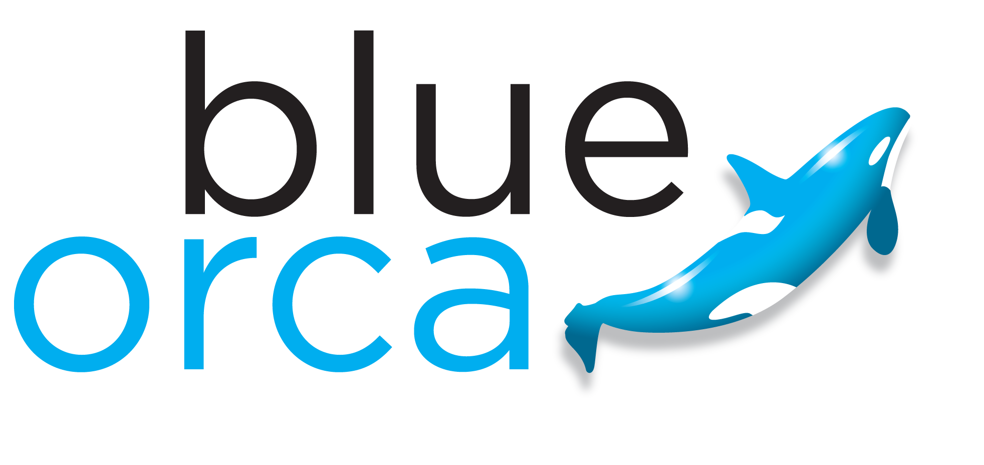 Blue ORCA Marketing logo